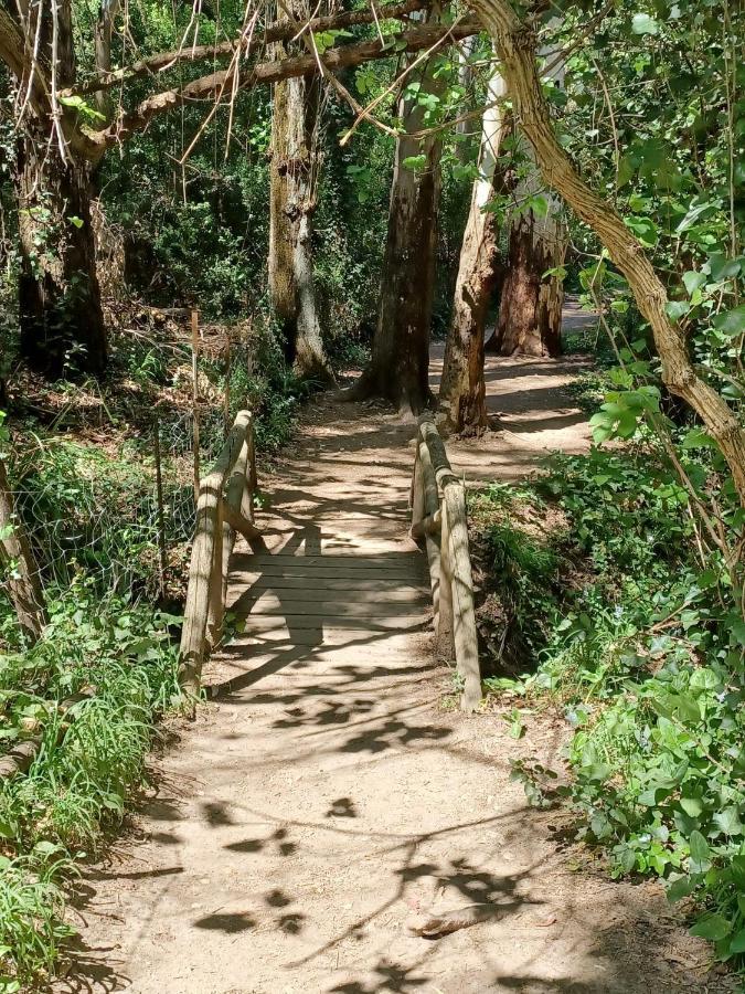 엘보스크 Casa Sendero Del Rio 빌라 외부 사진