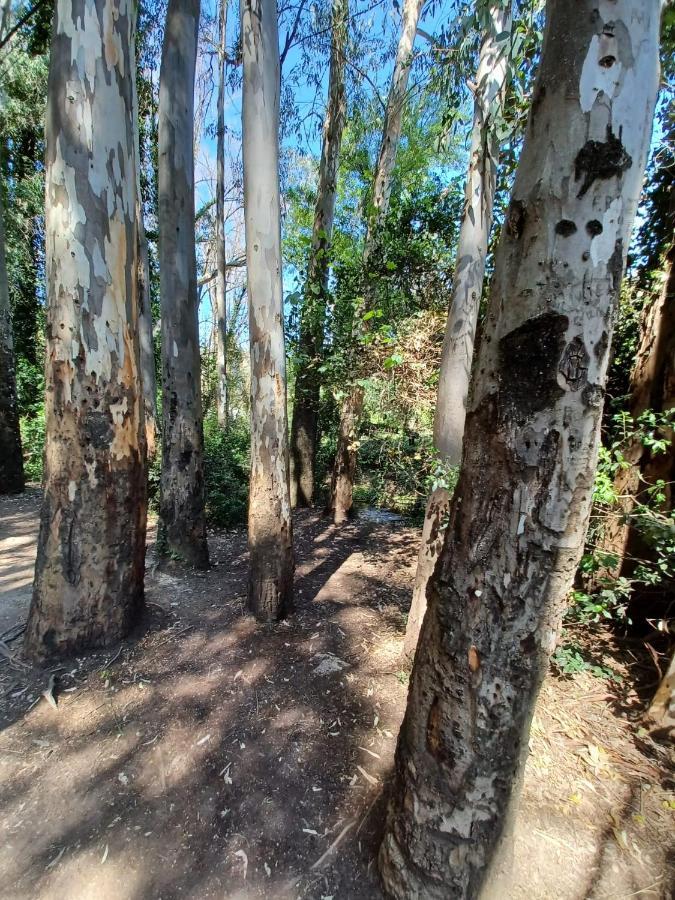 엘보스크 Casa Sendero Del Rio 빌라 외부 사진